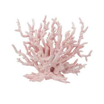 Διακοσμητική φωτογραφία κατηγορίας: Κοράλλια Ενυδρείων